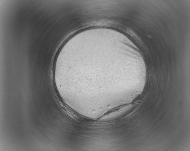 X0000068831232200606021634