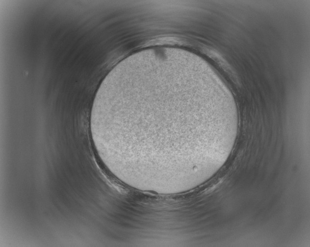 X0000068831233200606021634