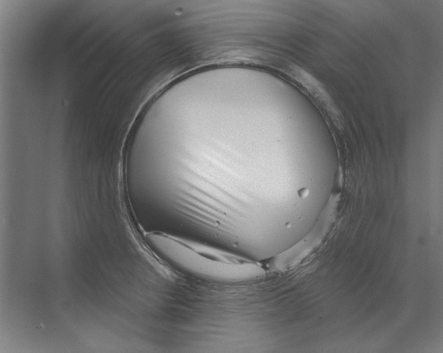 X0000068831234200606021634