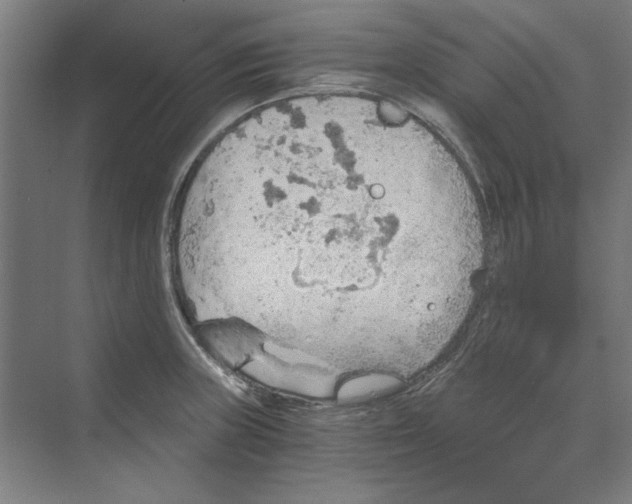 X0000068831235200606021634