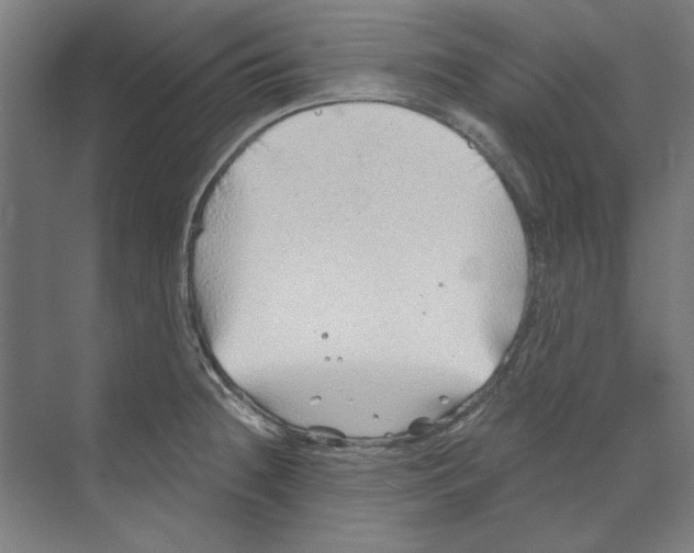 X0000068831236200606021634