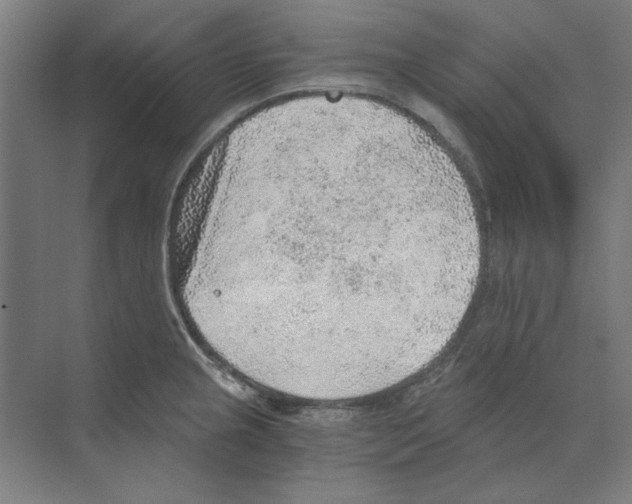 X0000068831237200606021634