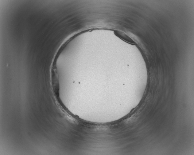 X0000068831238200606021634