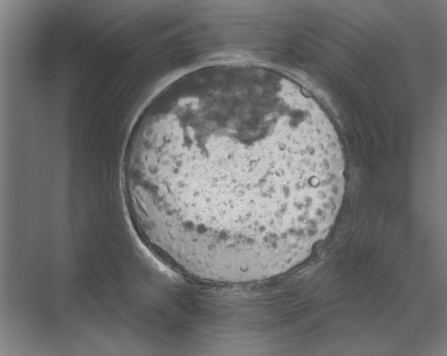 X0000068831239200606021634