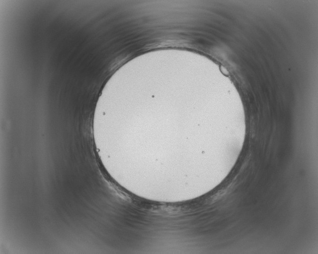 X0000068831241200606021634