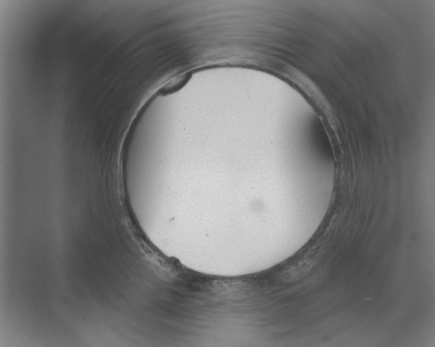 X0000068831242200606021634