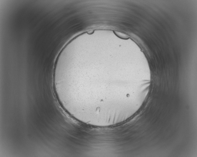 X0000068831244200606021634