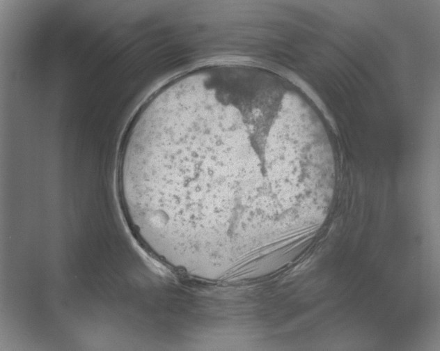 X0000068831245200606021634