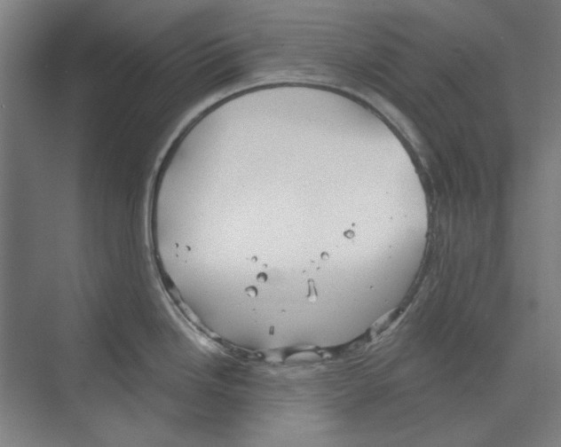 X0000068831246200606021634