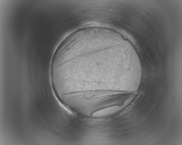 X0000068831247200606021635