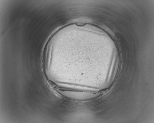 X0000068831248200606021635