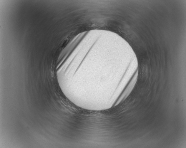 X0000068831250200606021634