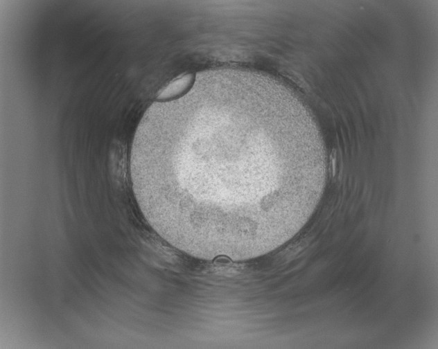 X0000068831251200606021634