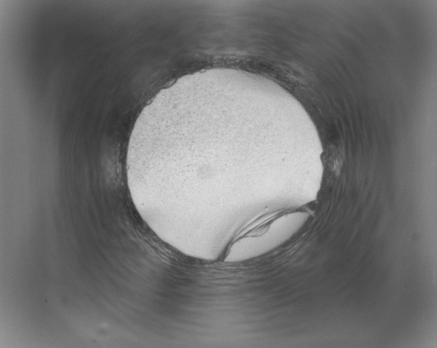 X0000068831252200606021634