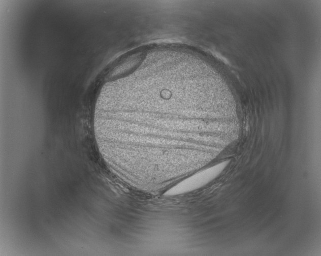 X0000068831255200606021634