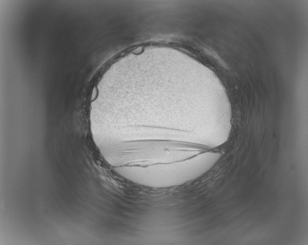 X0000068831256200606021634