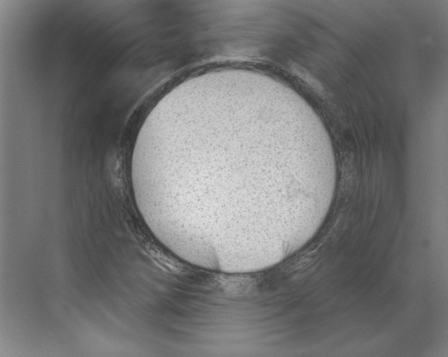 X0000068831258200606021634