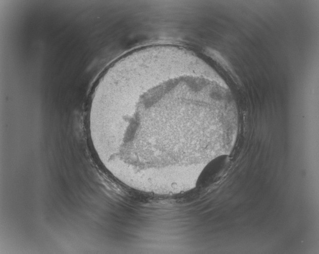 X0000068831260200606021634