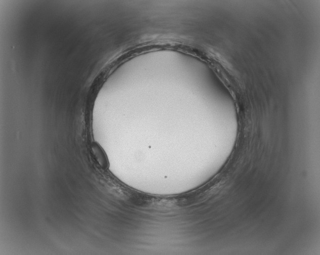 X0000068831261200606021634