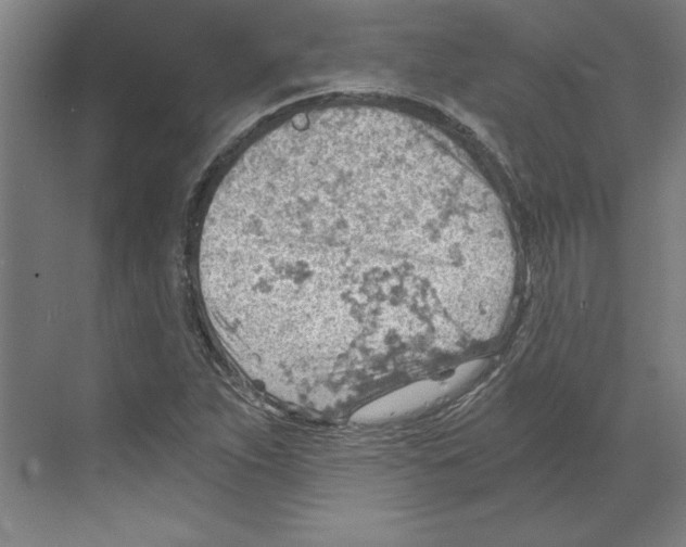 X0000068831263200606021633