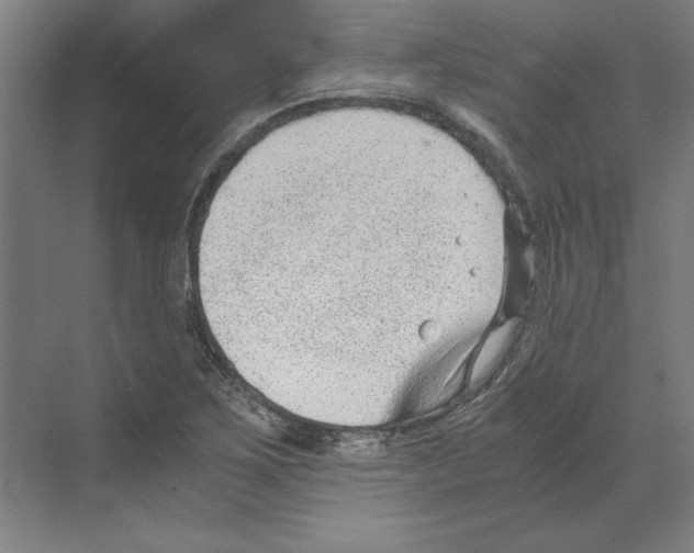 X0000068831267200606021633