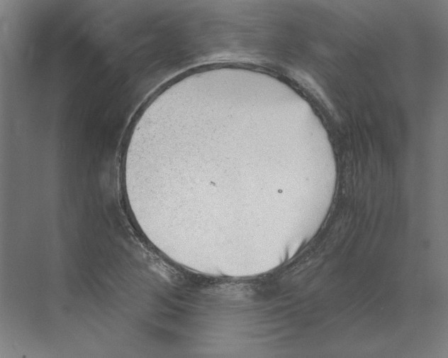 X0000068831268200606021633