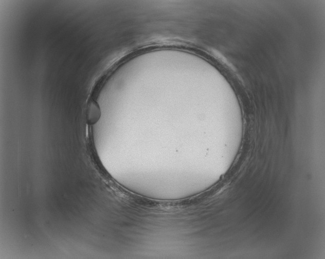 X0000068831269200606021633