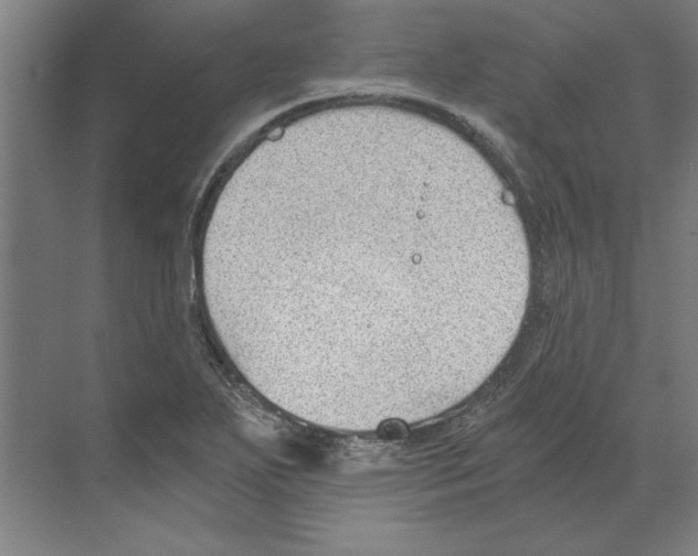 X0000068831271200606021633