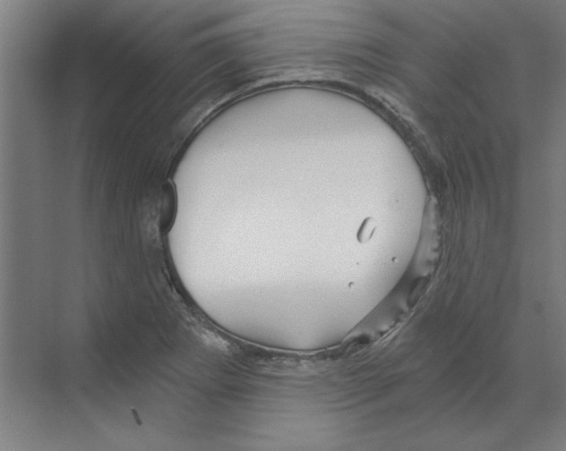 X0000068831273200606021633