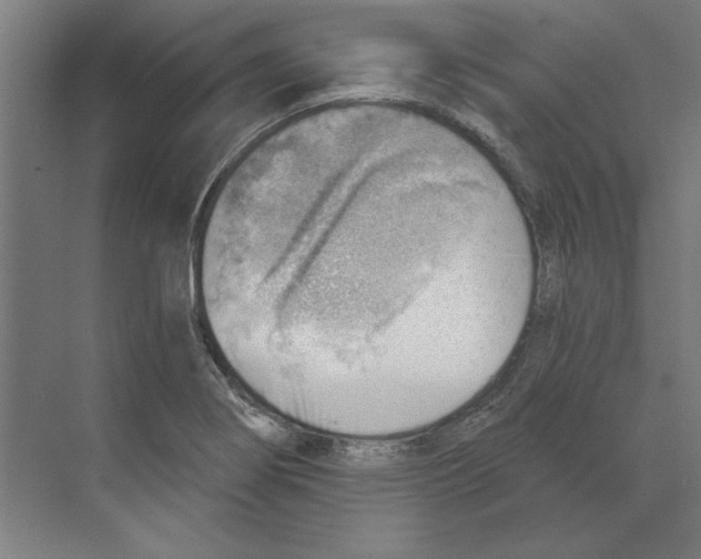 X0000068831274200606021633