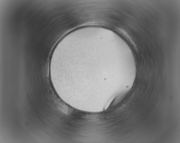 X0000068831276200606021633