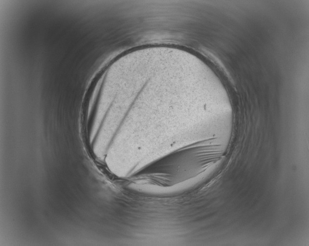 X0000068831277200606021633