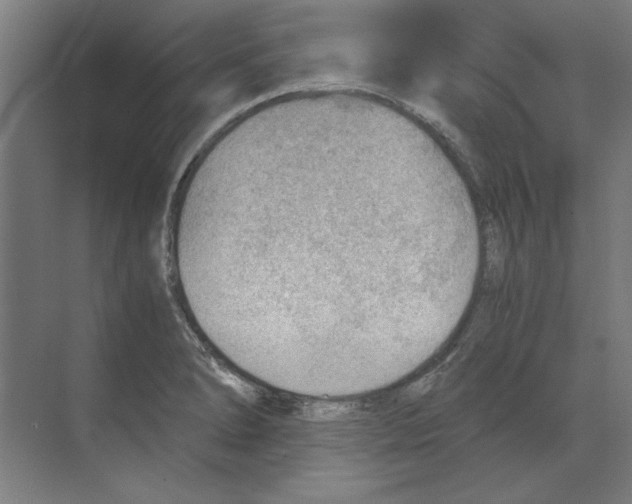 X0000068831278200606021633