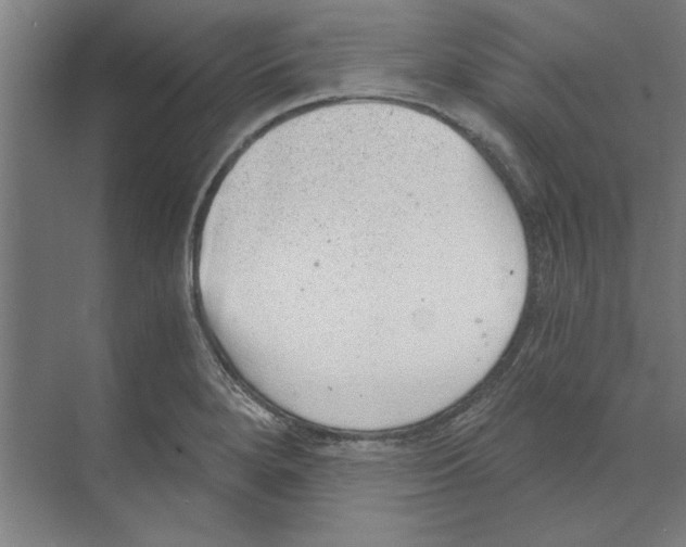 X0000068831280200606021633