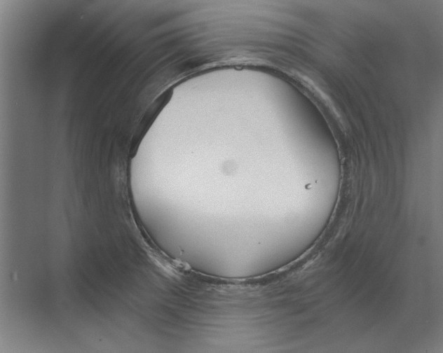 X0000068831281200606021633