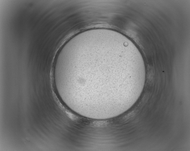 X0000068831282200606021633