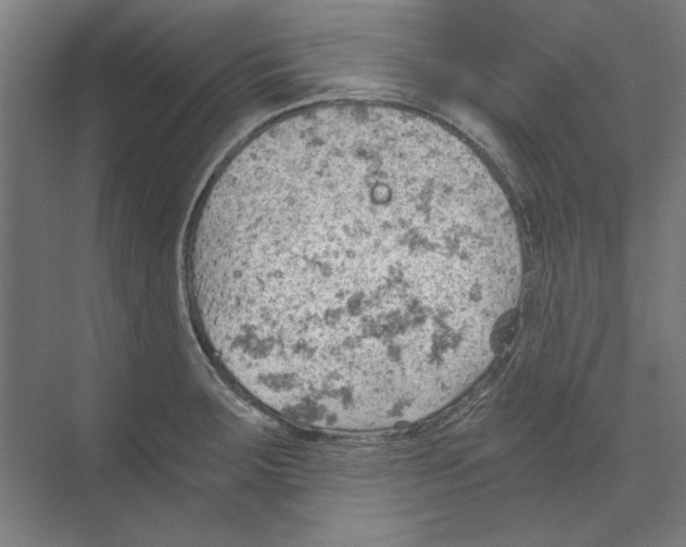 X0000068831283200606021633