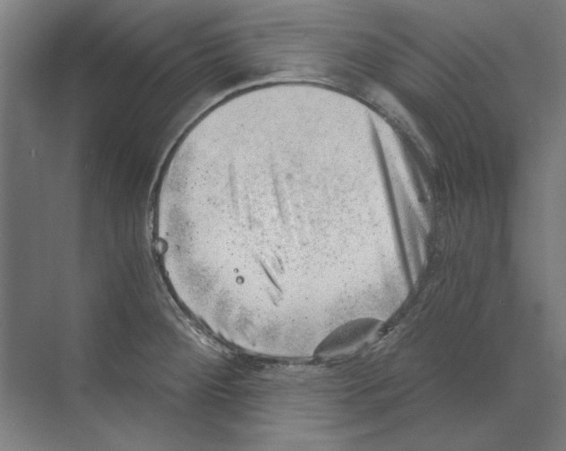 X0000068831284200606021633