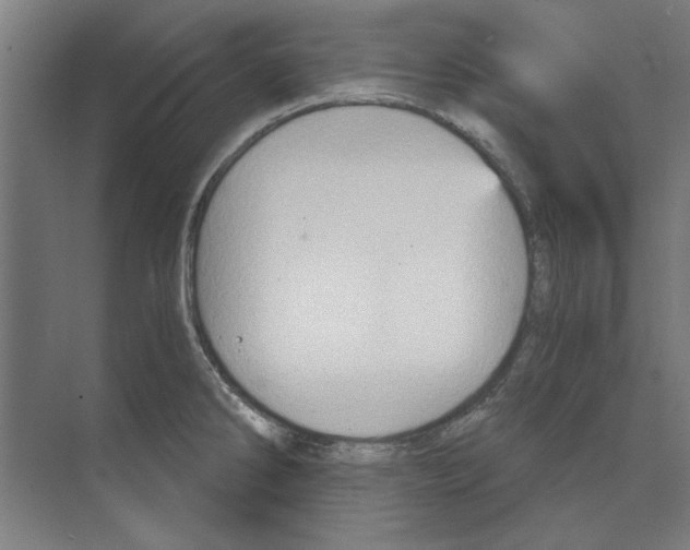 X0000068831286200606021633