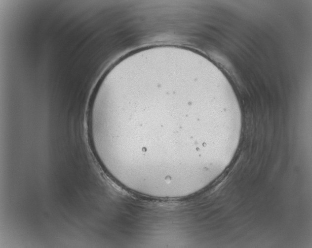 X0000068831288200606021633