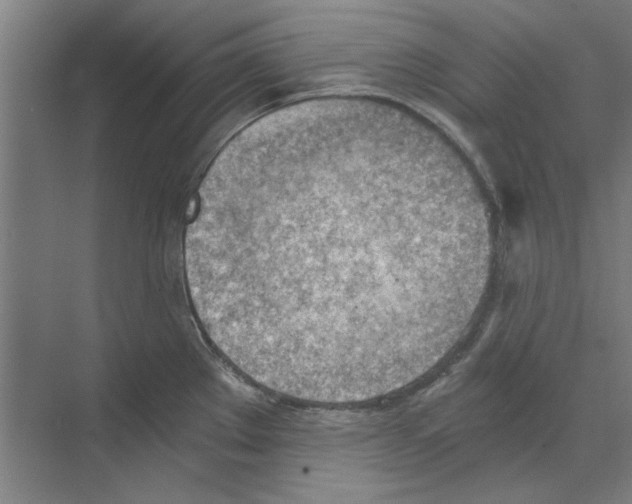 X0000068831289200606021633