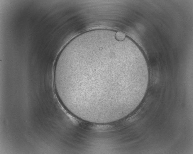 X0000068831290200606021633