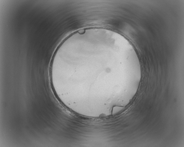 X0000068831291200606021633