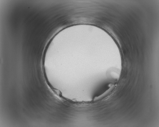 X0000068831293200606021633