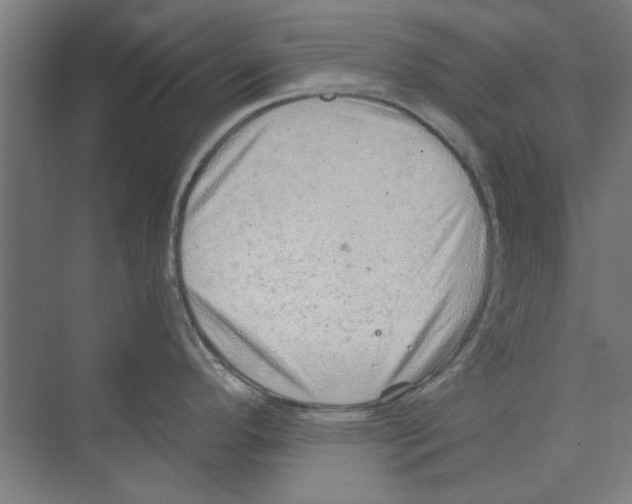 X0000068831296200606021633