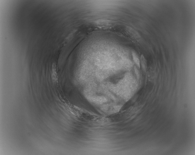 X0000068831298200606021632