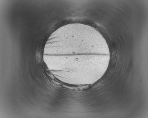 X0000068831300200606021632