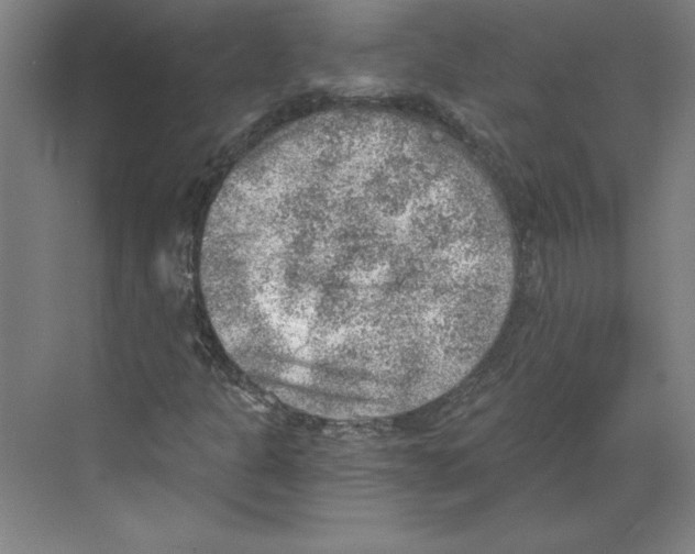 X0000068831301200606021632