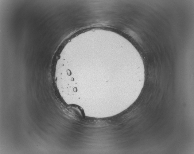 X0000068831308200606021632