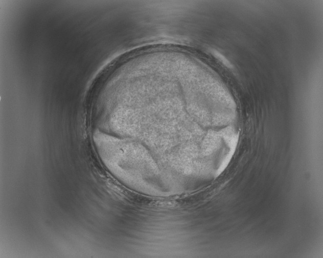 X0000068831310200606021632